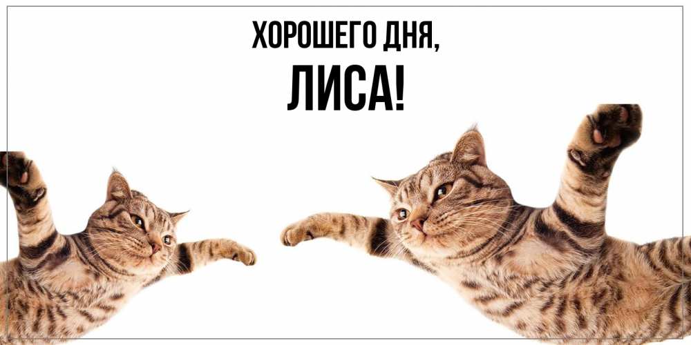 Открытка с именем, лиса, Хорошего дня