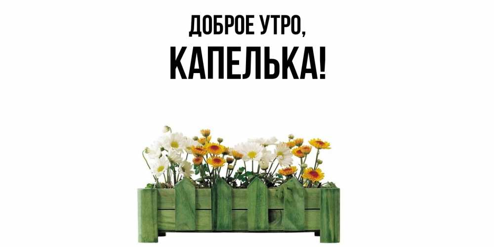 Картинка Доброе утро, капелька