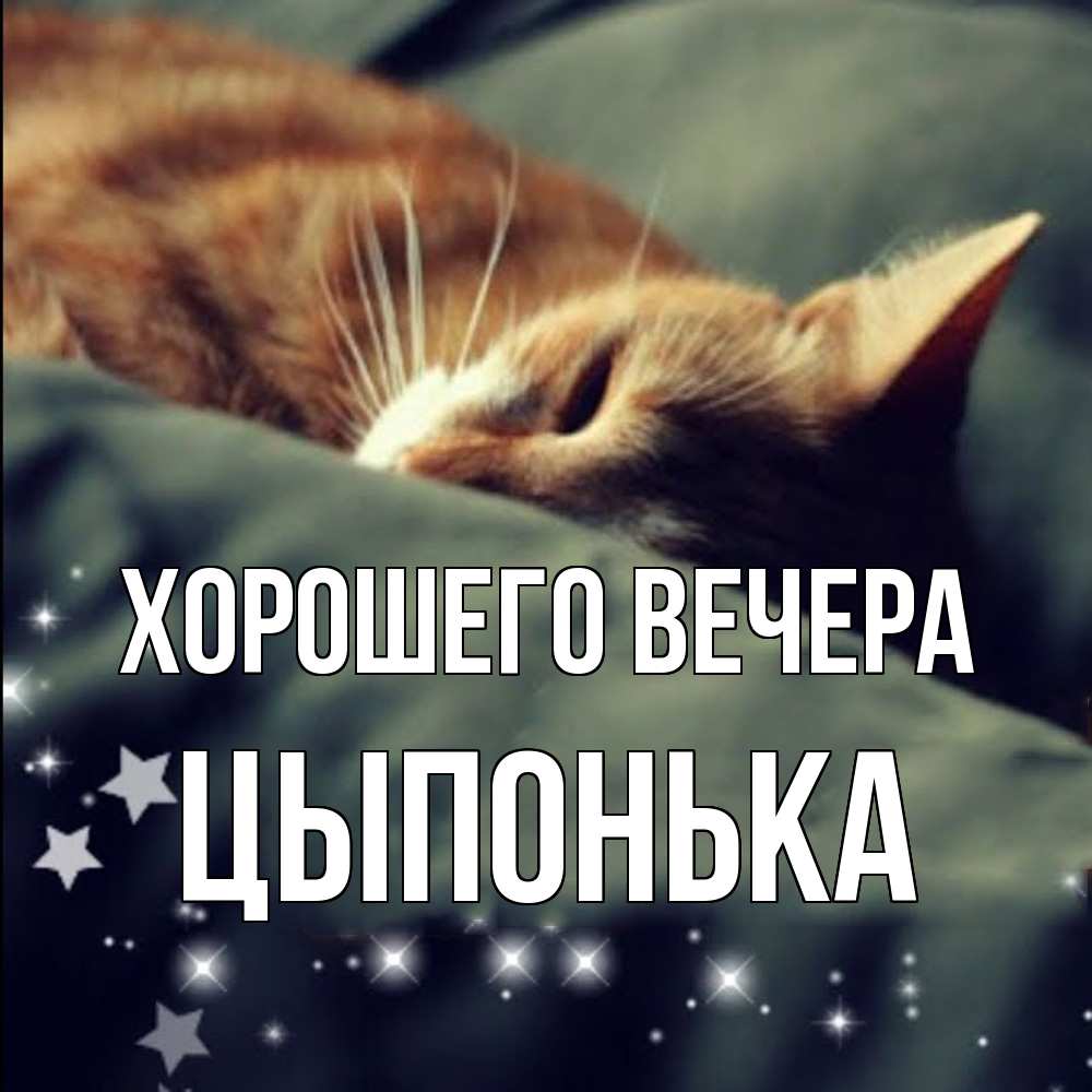 Картинка Хорошего вечера, цыпонька