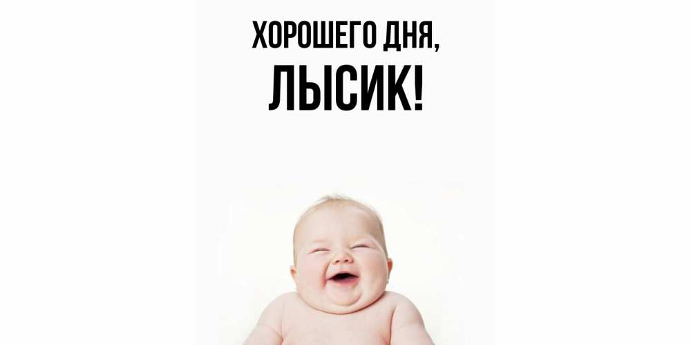 Открытка  для любимых и родных. лысик, Хорошего дня  