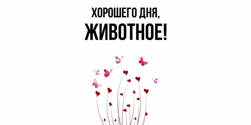 Картинка Хорошего дня, животное