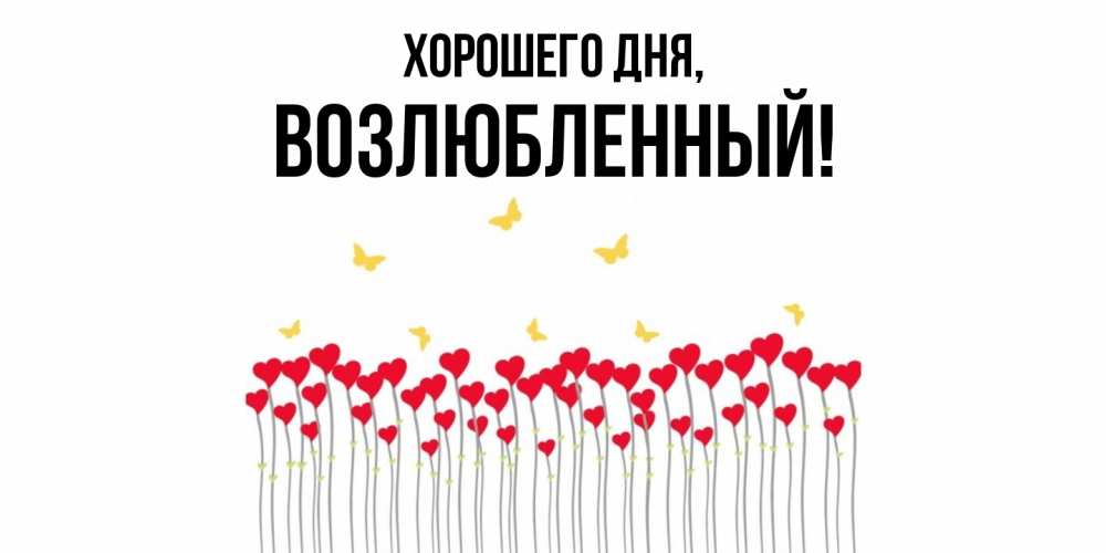 Открытка  для любимых и родных. возлюбленный, Хорошего дня  