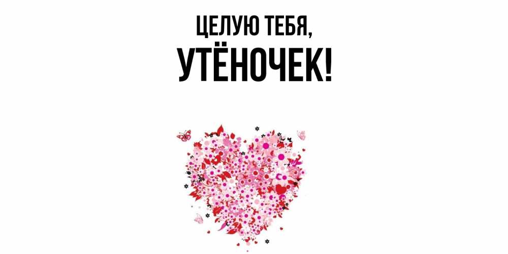 Картинка Целую тебя, утёночек
