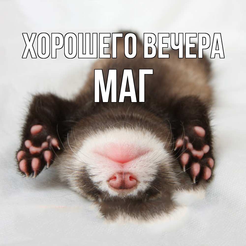 Открытка  для любимых и родных. маг, Хорошего вечера  