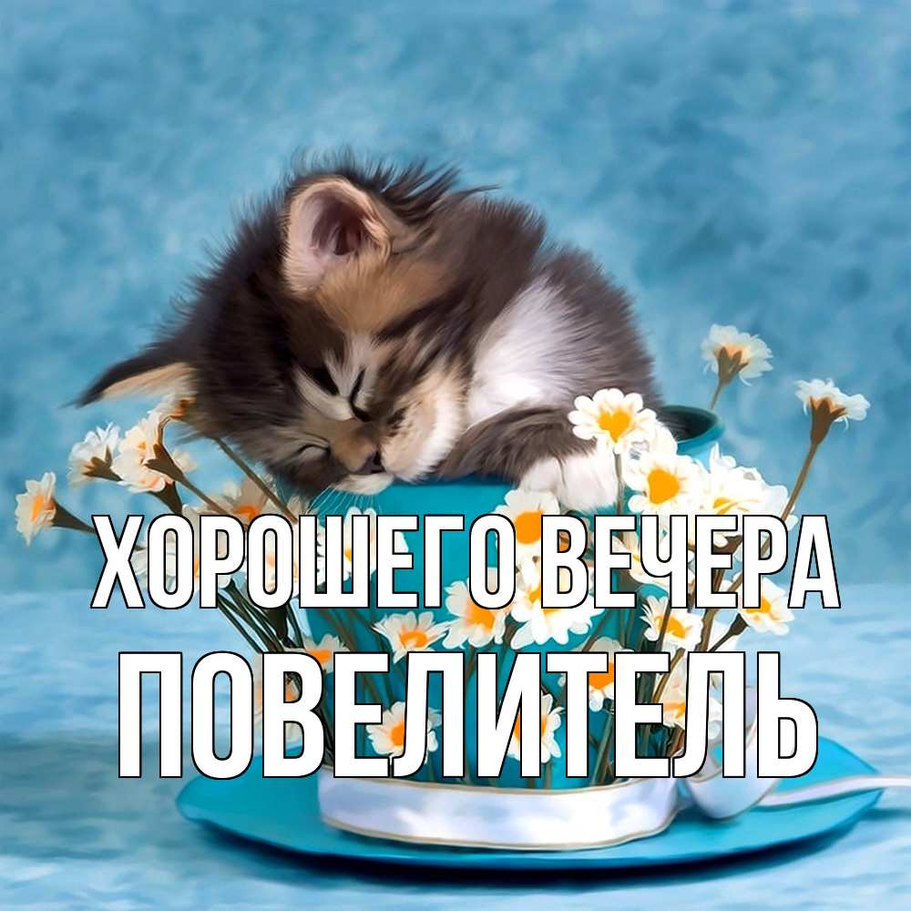 Картинка Хорошего вечера, Повелитель