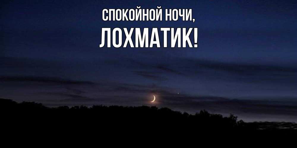 Открытка  для любимых и родных. лохматик, Спокойной ночи  