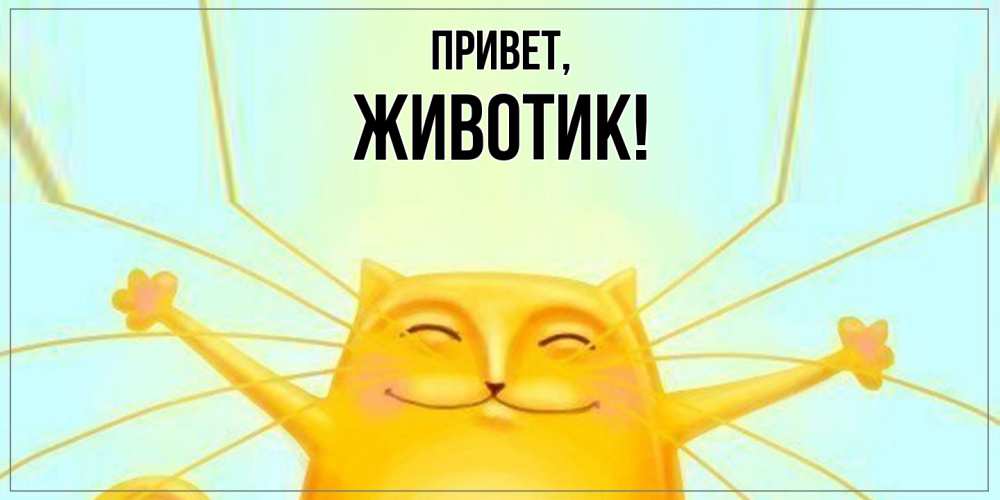 Открытка  для любимых и родных. животик, Привет  