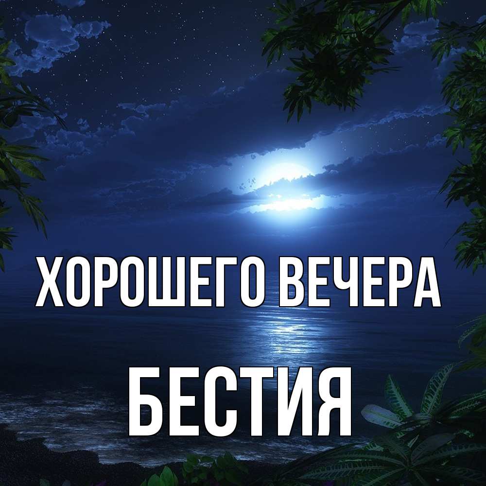 Открытка  для любимых и родных. бестия, Хорошего вечера  