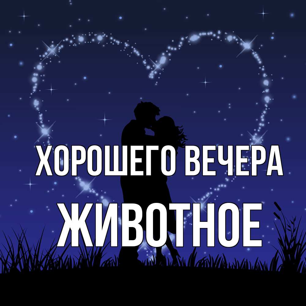 Открытка  для любимых и родных. животное, Хорошего вечера  