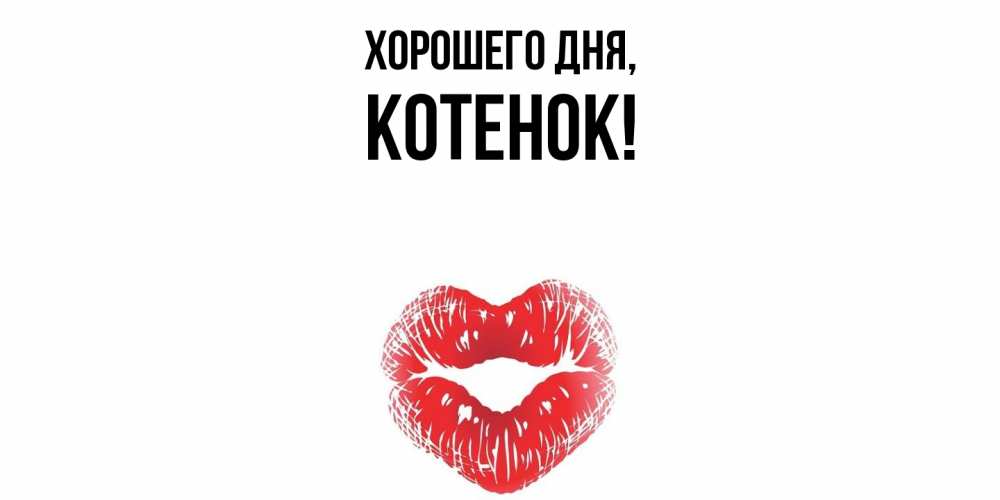 Картинка Хорошего дня, Котенок