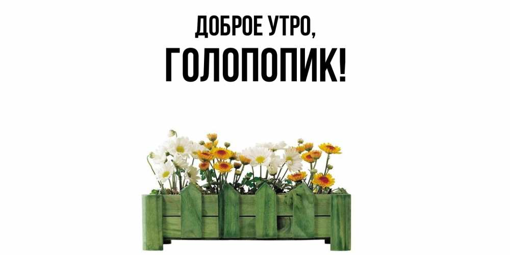 Открытка  для любимых и родных. голопопик, Доброе утро  