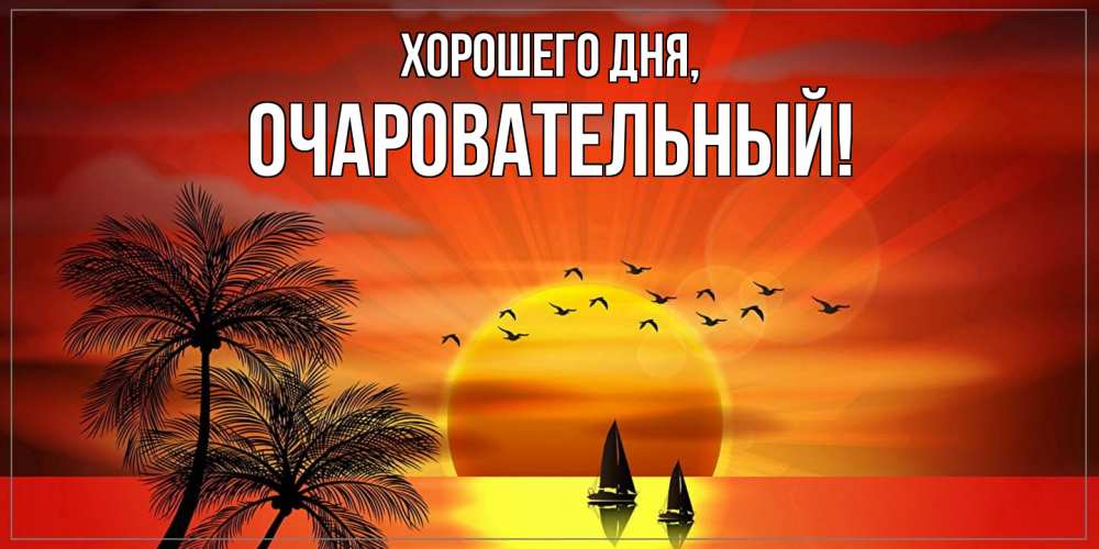 Открытка  для любимых и родных. очаровательный, Хорошего дня  