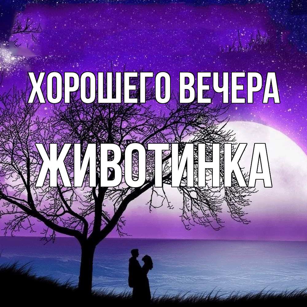 Открытка  для любимых и родных. животинка, Хорошего вечера  