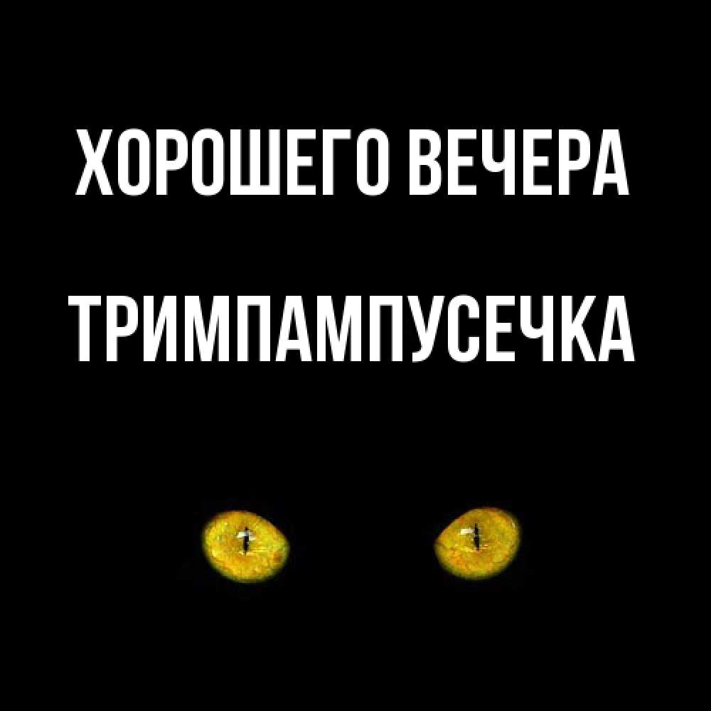 Открытка  для любимых и родных. тримпампусечка, Хорошего вечера  