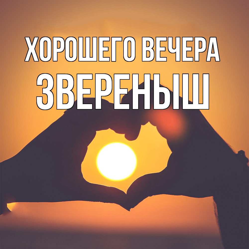 Открытка  для любимых и родных. звереныш, Хорошего вечера  