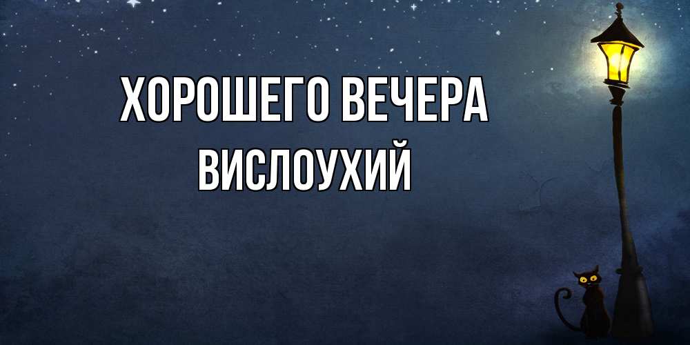 Открытка  для любимых и родных. вислоухий, Хорошего вечера  