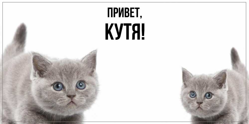 Открытка  для любимых и родных. кутя, Привет  
