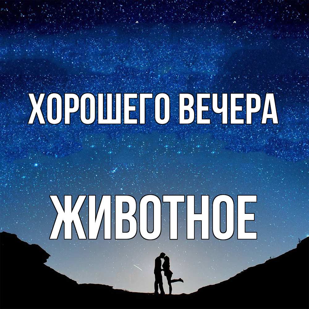 Открытка  для любимых и родных. животное, Хорошего вечера  