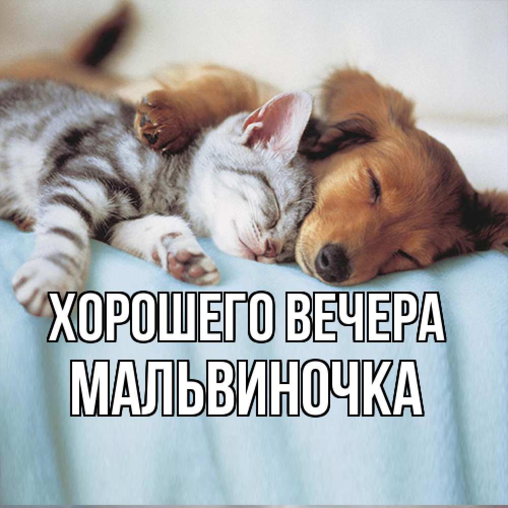 Открытка  для любимых и родных. мальвиночка, Хорошего вечера  