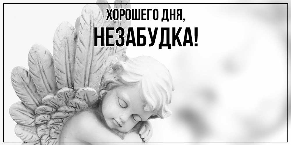 Открытка  для любимых и родных. незабудка, Хорошего дня  