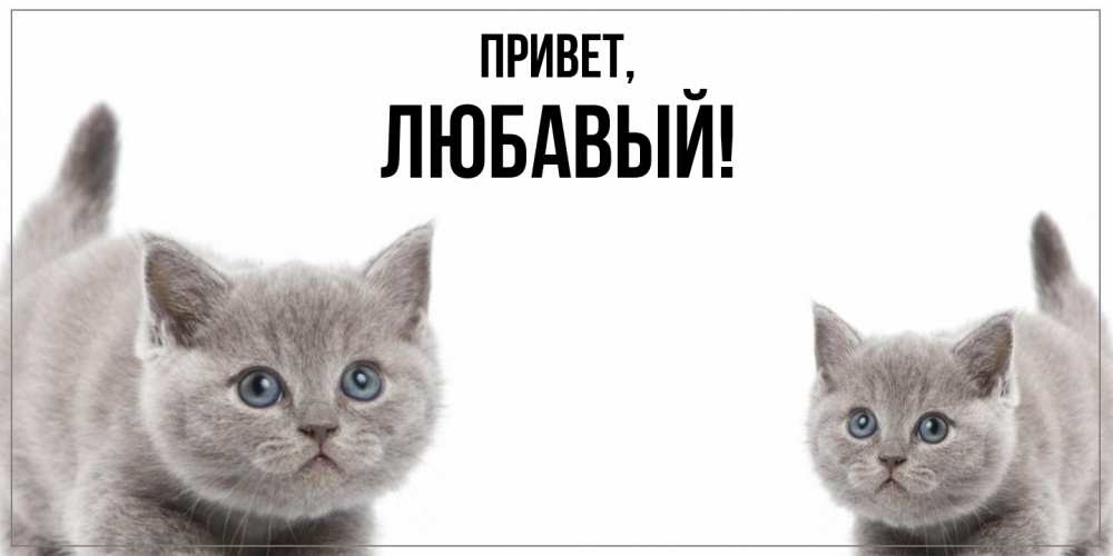 Открытка  для любимых и родных. любавый, Привет  