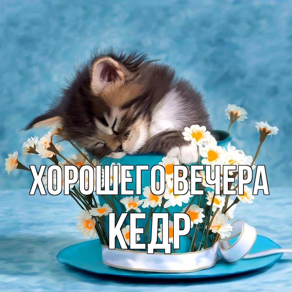Картинка Хорошего вечера, кедр