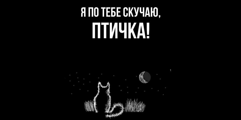 Картинка Я по тебе скучаю, птичка