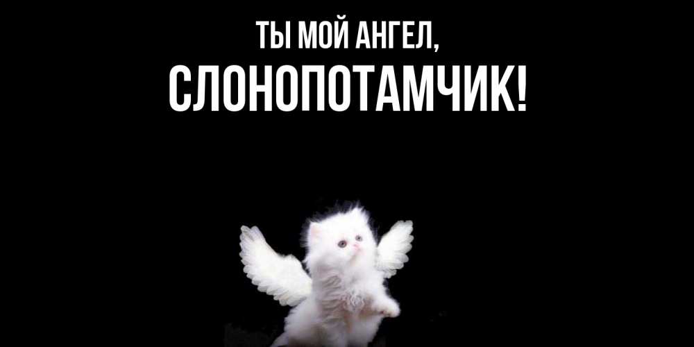 Открытка  для любимых и родных. слонопотамчик, Ты мой ангел  