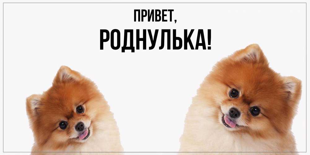 Картинка Привет, роднулька
