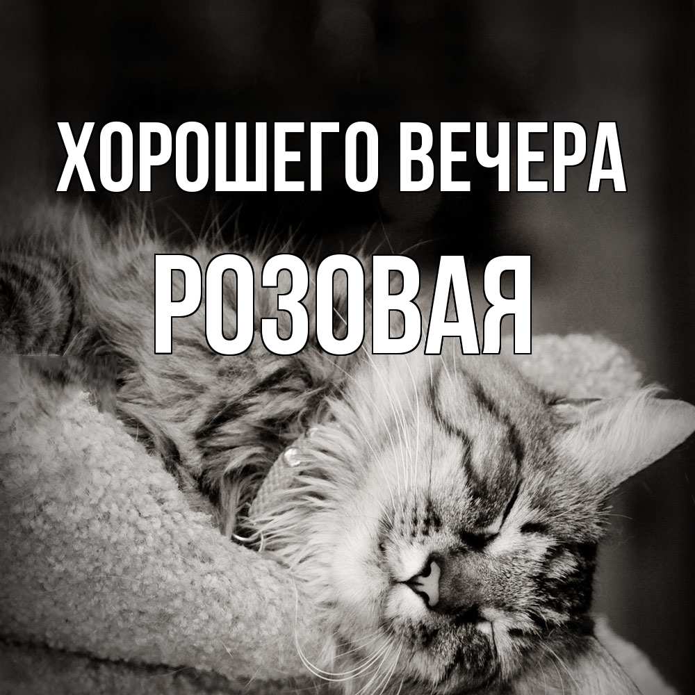 Открытка  для любимых и родных. розовая, Хорошего вечера  