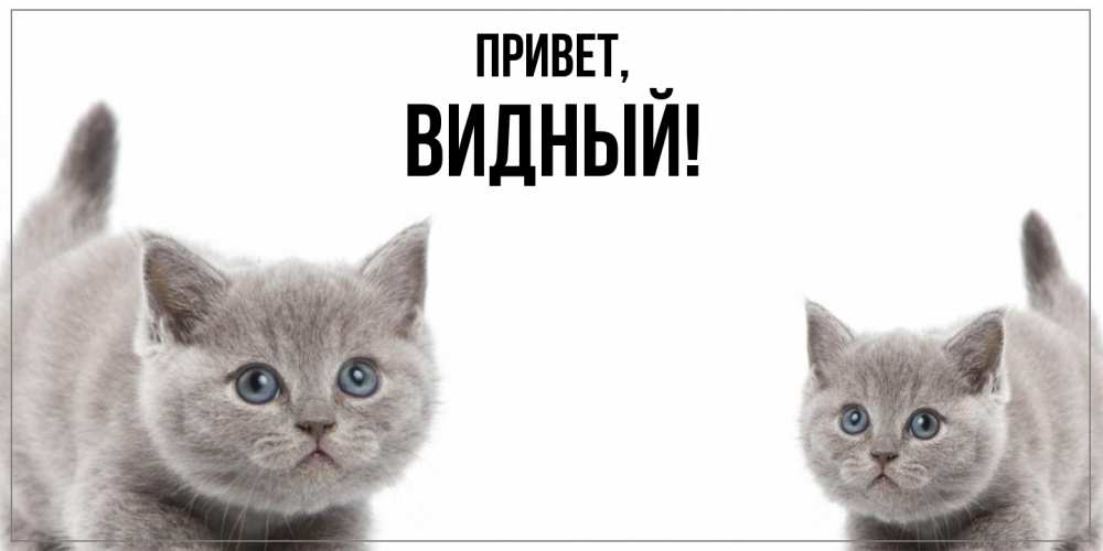 Открытка  для любимых и родных. видный, Привет  