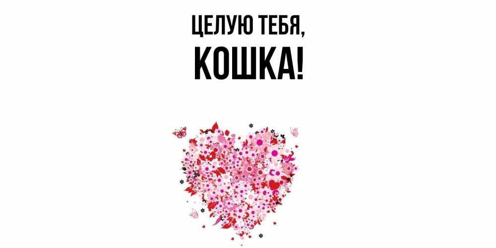 Картинка Целую тебя, кошка