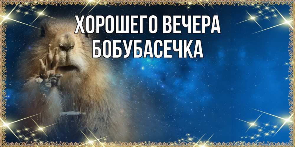 Открытка  для любимых и родных. бобубасечка, Хорошего вечера  