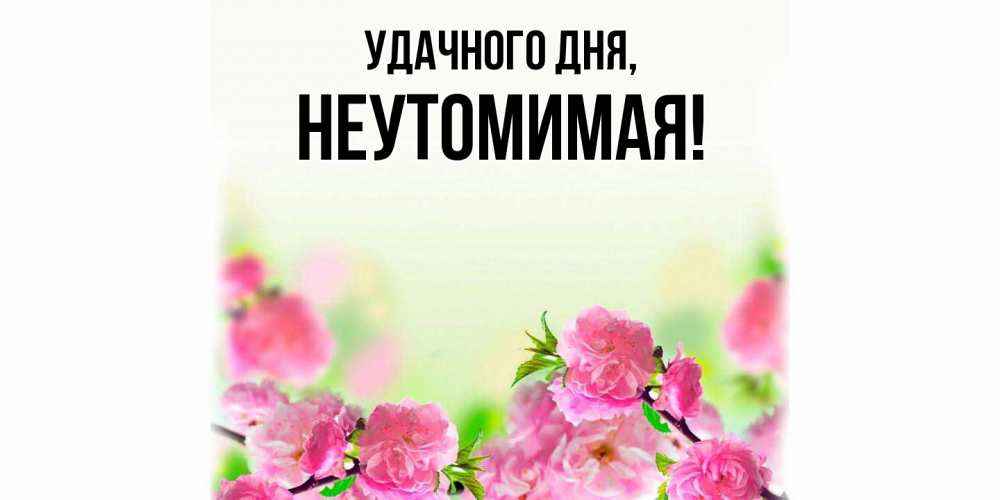 Картинка Удачного дня, неутомимая