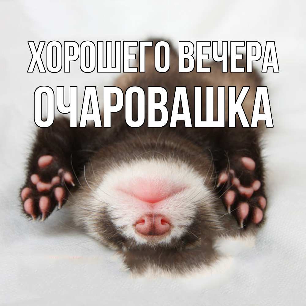 Открытка  для любимых и родных. очаровашка, Хорошего вечера  