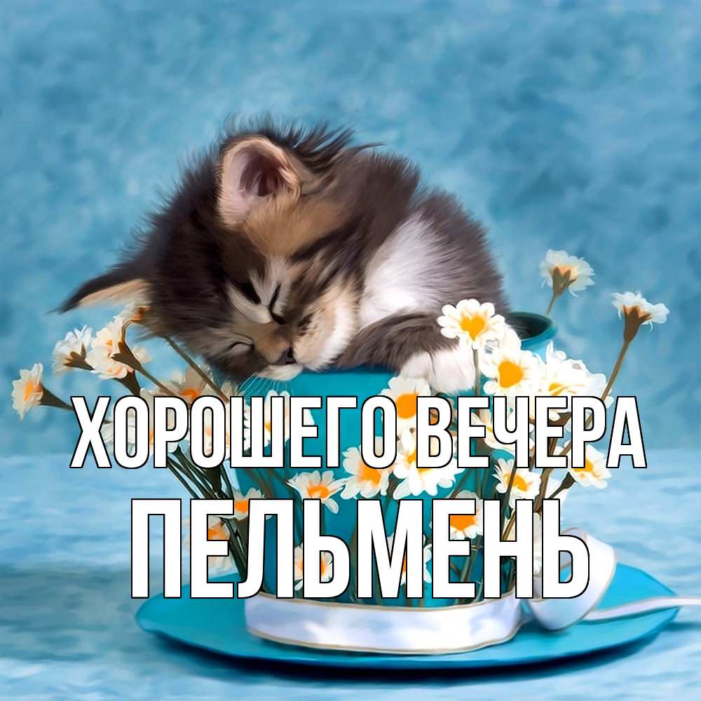 Открытка с именем, пельмень, Хорошего вечера