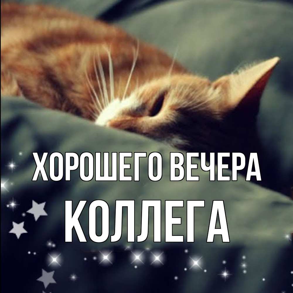 Картинка Хорошего вечера, Коллега