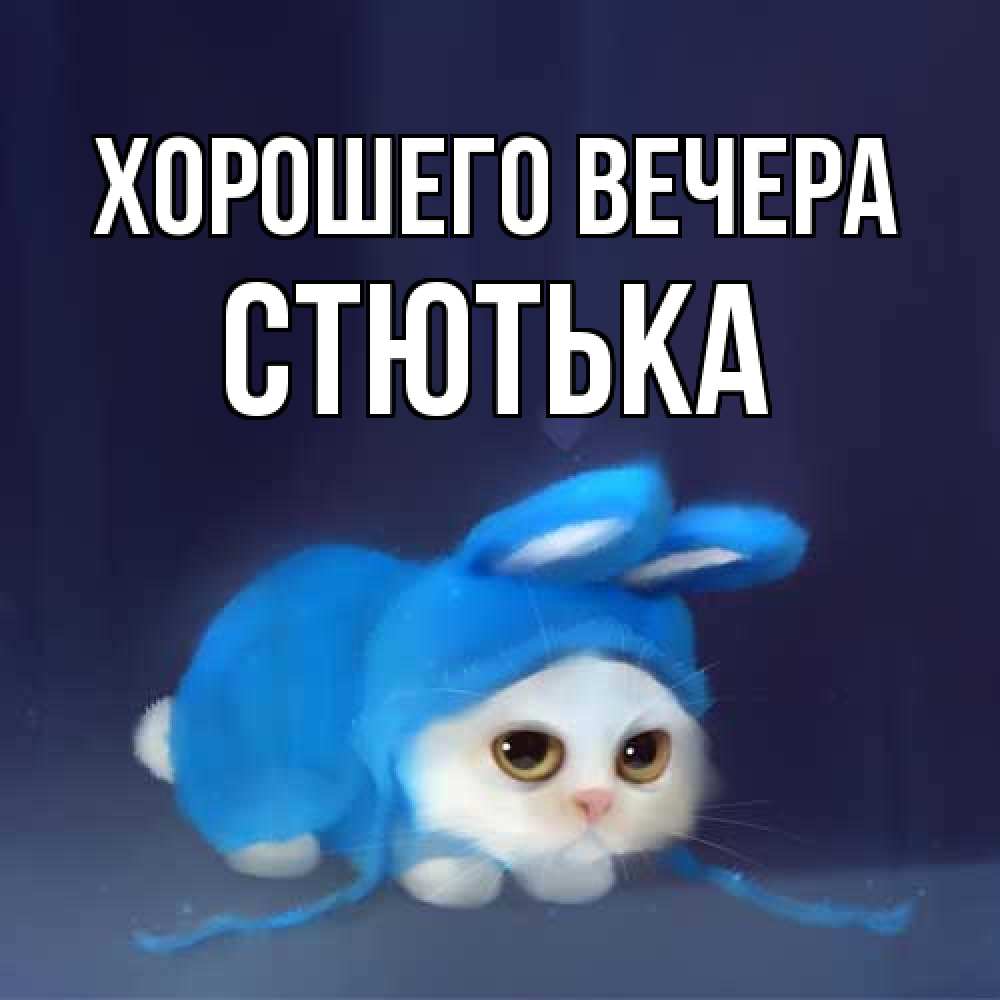 Открытка с именем, стютька, Хорошего вечера