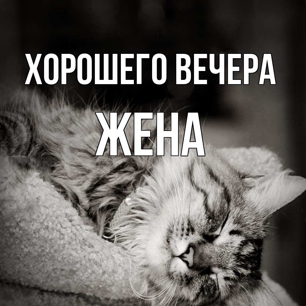 Открытка  для любимых и родных. Жена, Хорошего вечера  