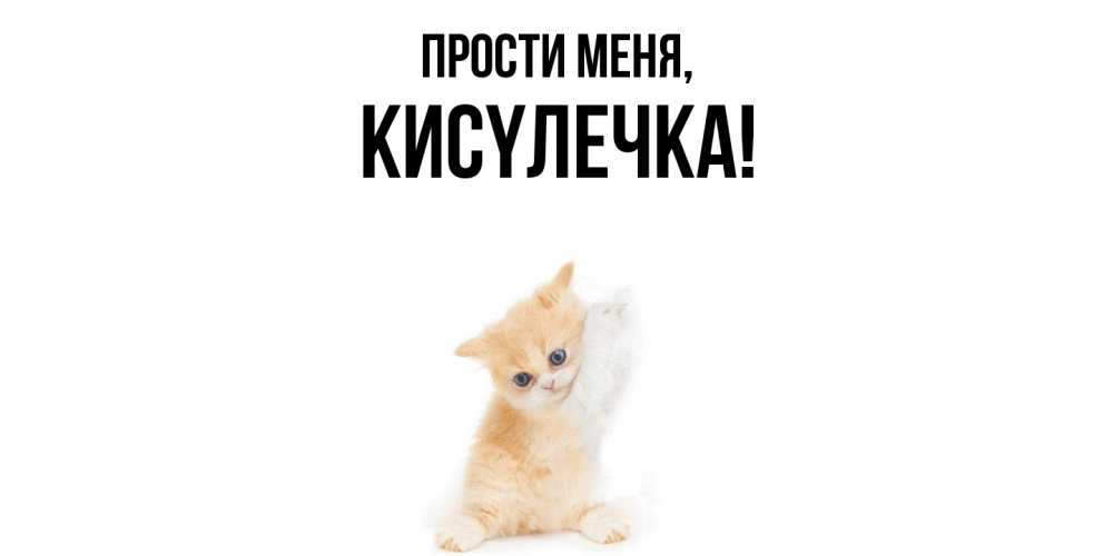 Картинка Прости меня, кисyлечка