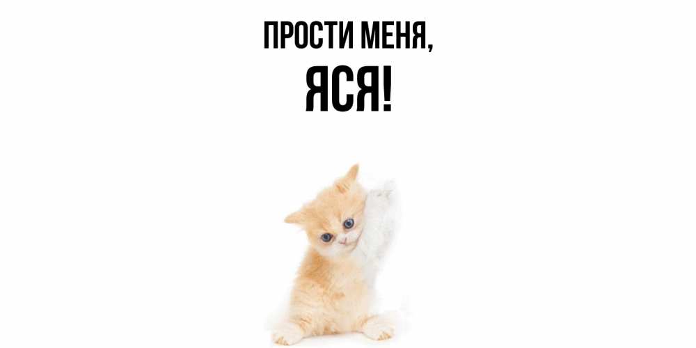 Картинка Прости меня, яся