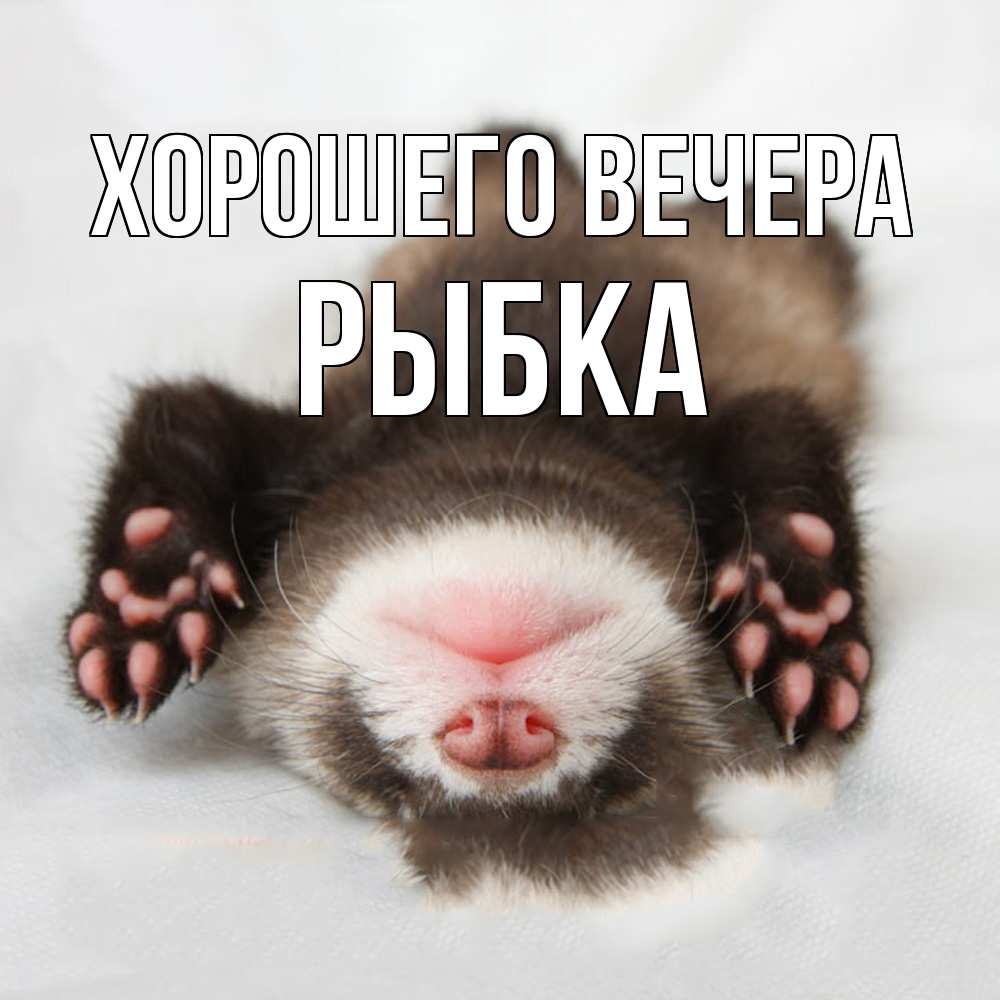 Открытка  для любимых и родных. рыбка, Хорошего вечера  
