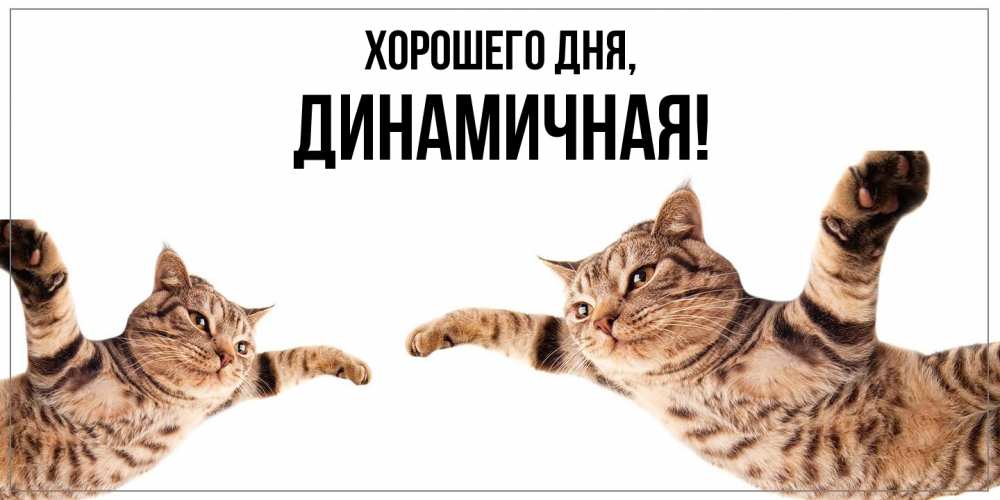 Открытка  для любимых и родных. динамичная, Хорошего дня  