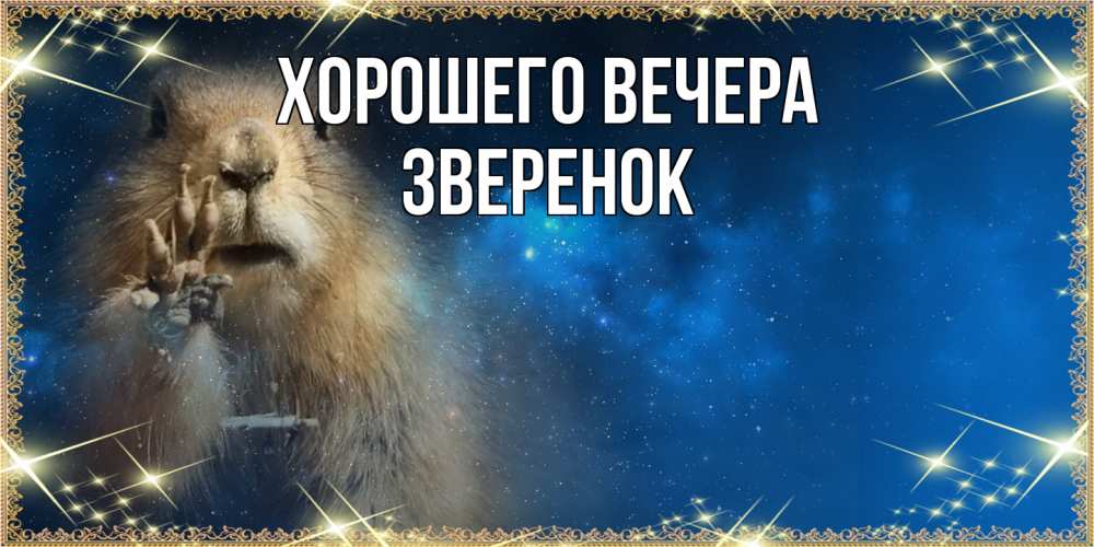 Картинка Хорошего вечера, звеpенок