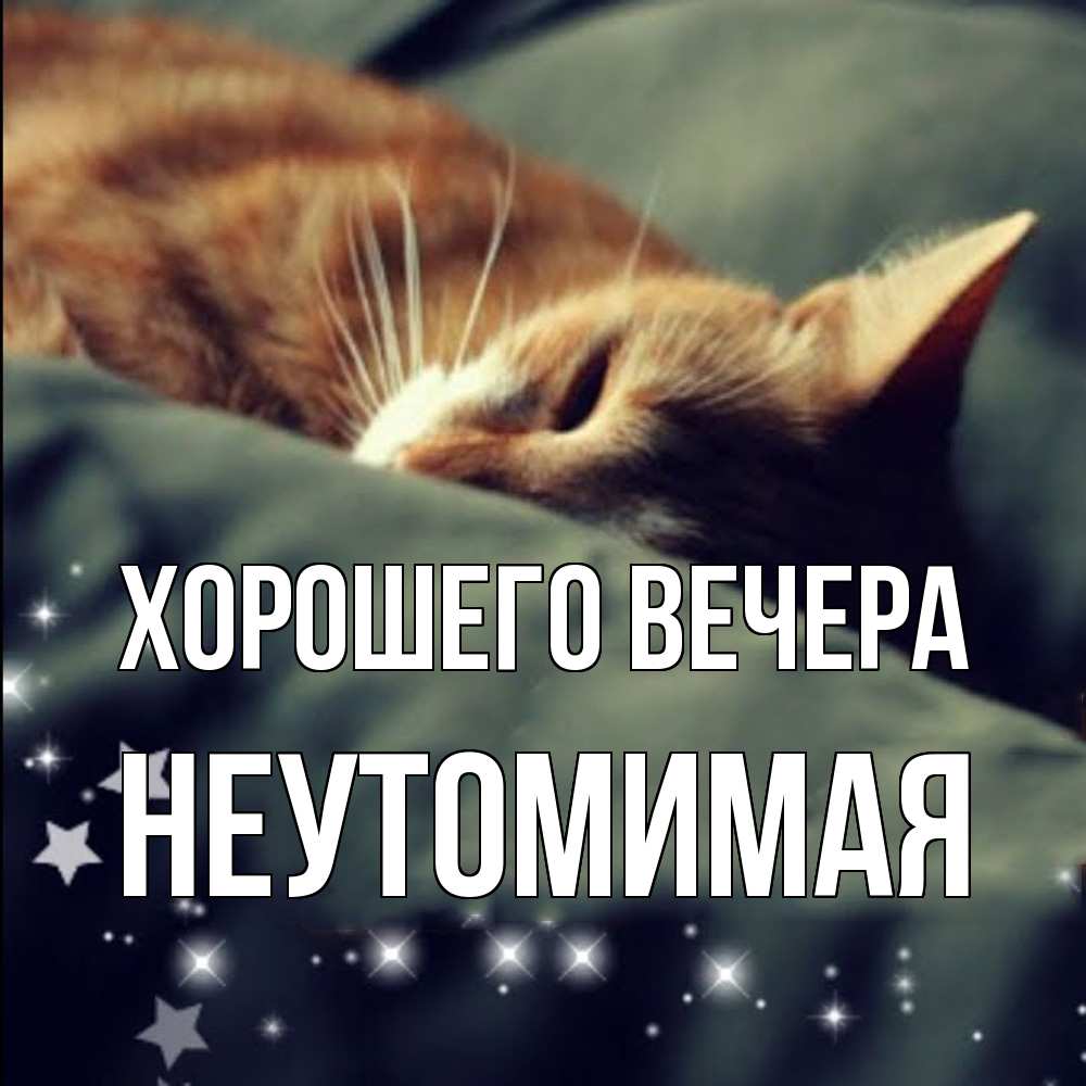 Картинка Хорошего вечера, неутомимая