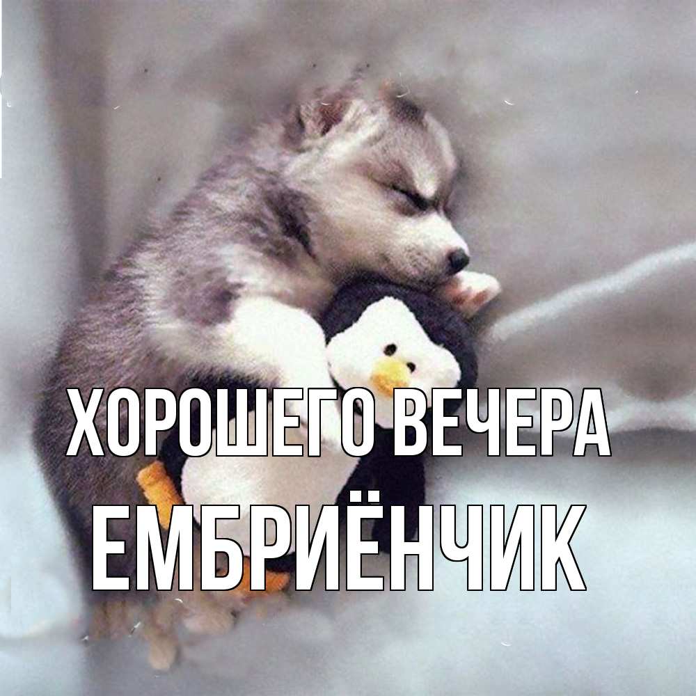 Картинка Хорошего вечера, ембриёнчик
