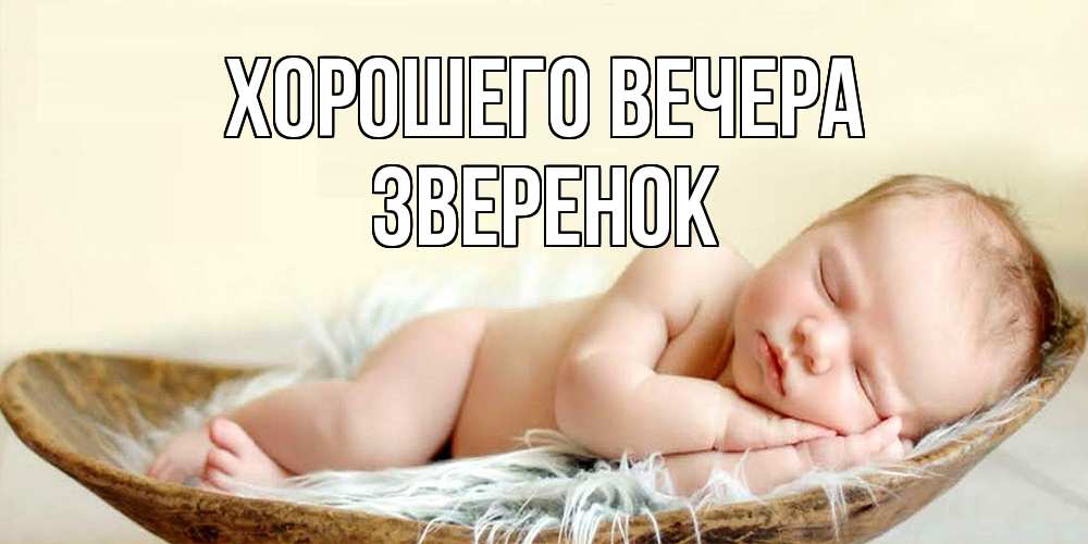 Открытка  для любимых и родных. звеpенок, Хорошего вечера  