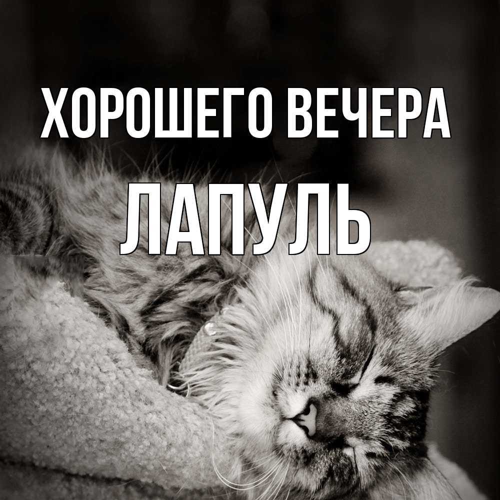 Картинка Хорошего вечера, лапуль