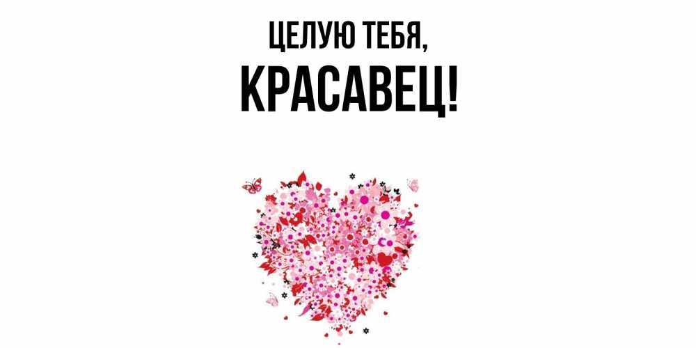 Открытка  для любимых и родных. красавец, Целую тебя  