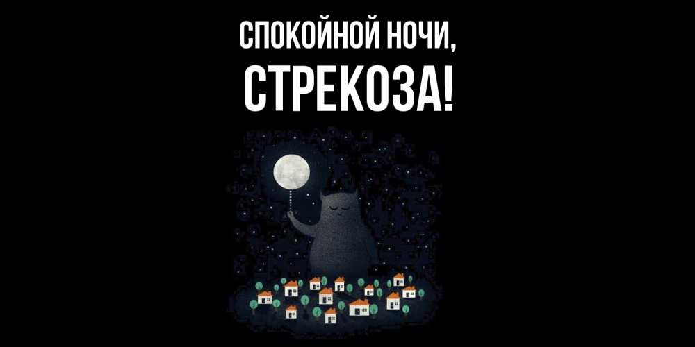 Картинка Спокойной ночи, стрекоза